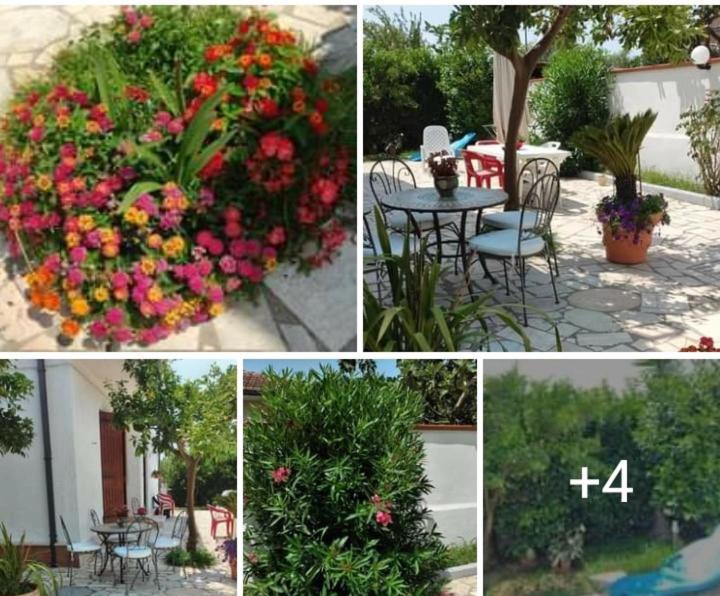 Villa Dafne Mare Fondi Sperlonga Extérieur photo
